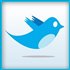Le coquin petit bouton de partage Twitter